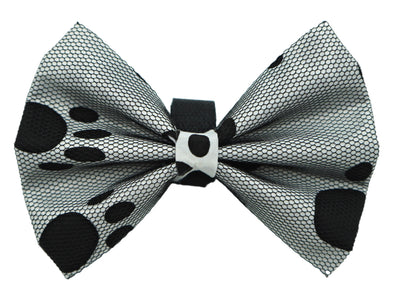 PR5002|Pets Ribbons - Your Pet Connection