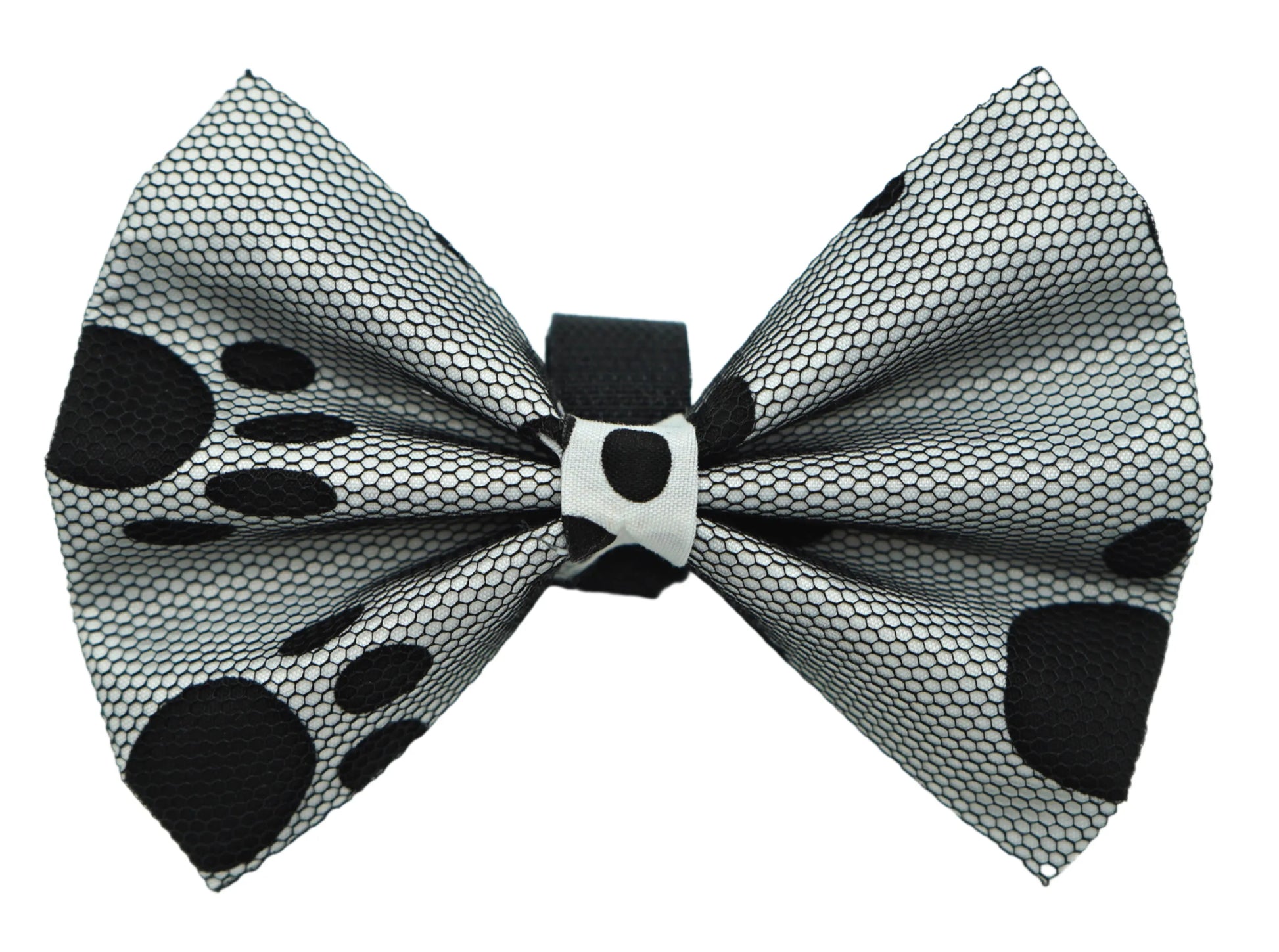 PR5002|Pets Ribbons - Your Pet Connection