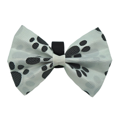 PR5003|Pets Ribbons - Your Pet Connection