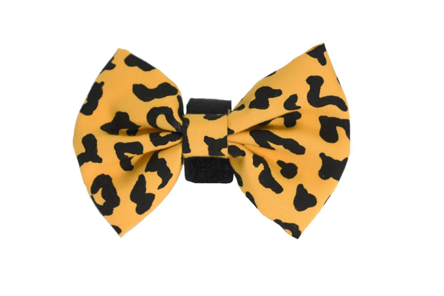 PR6000|Pets Ribbons - Your Pet Connection