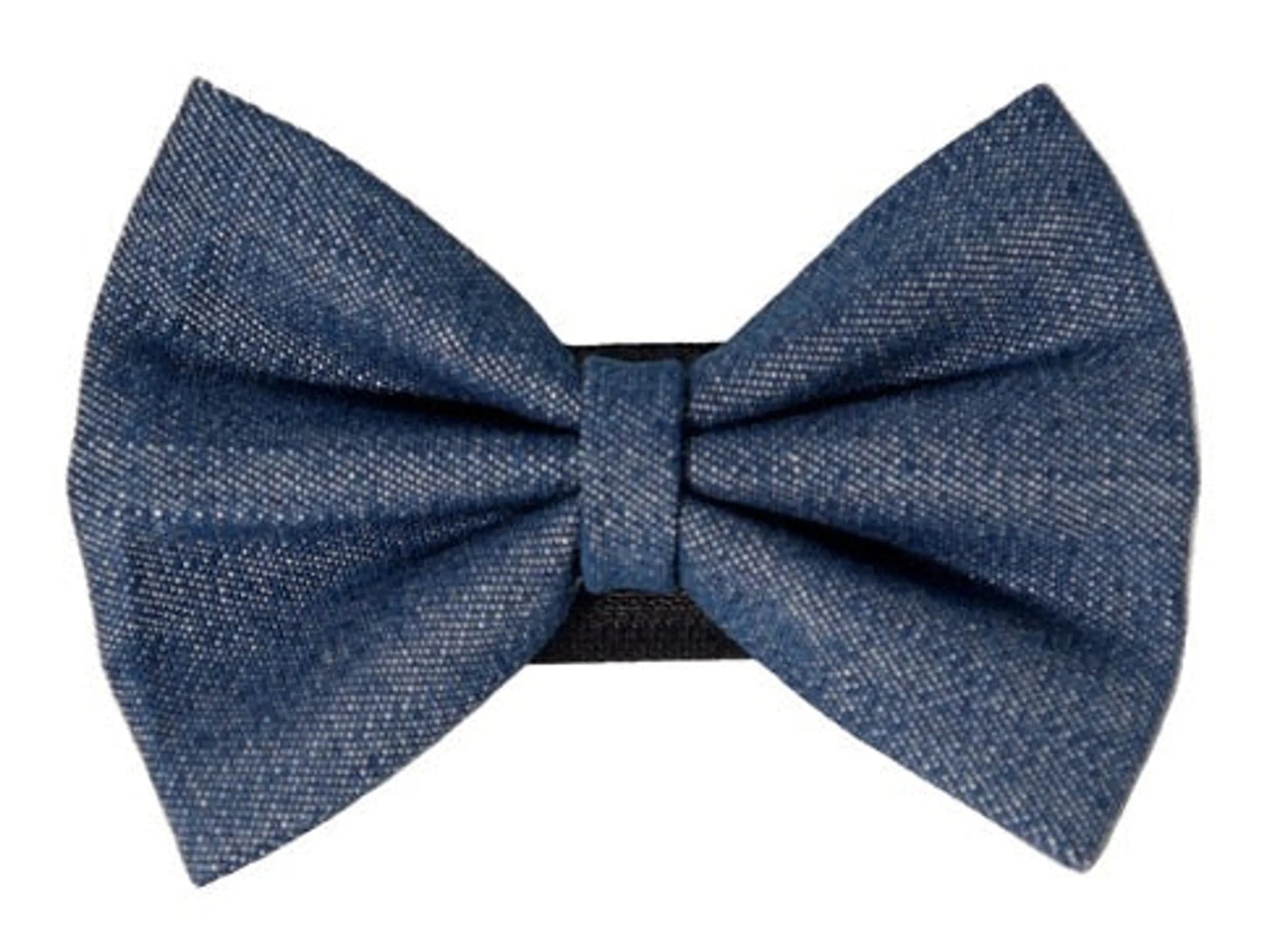 PR7002|Pets Ribbons - Your Pet Connection