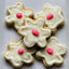 Fido Flowers - Your Pet Connection