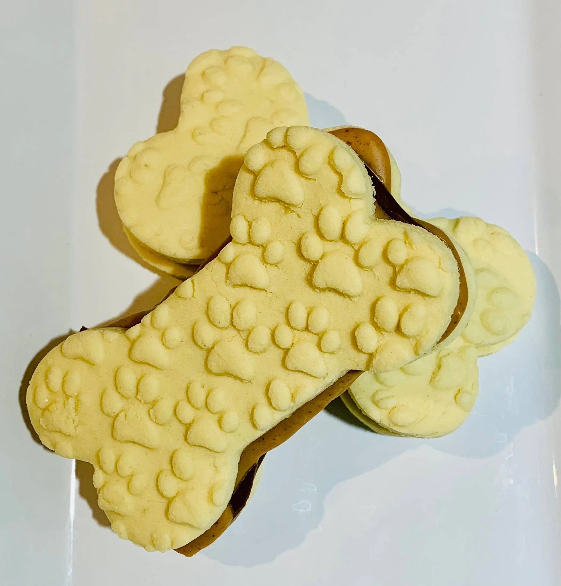 Sammies - Your Pet Connection