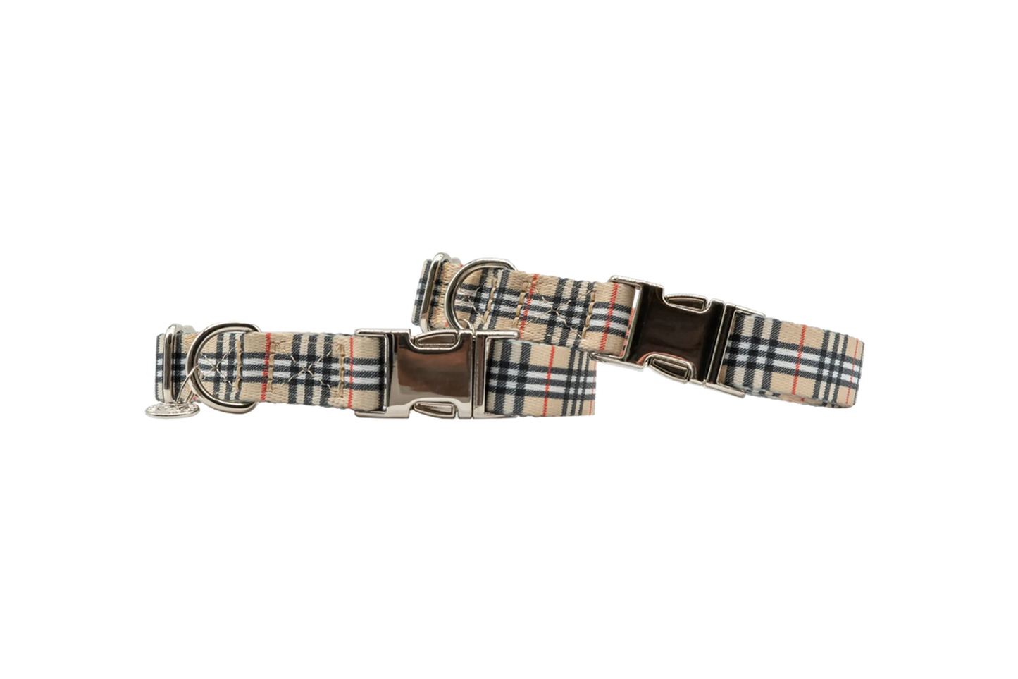Urban Dog Stars Adjustable Dog Collar 22mm