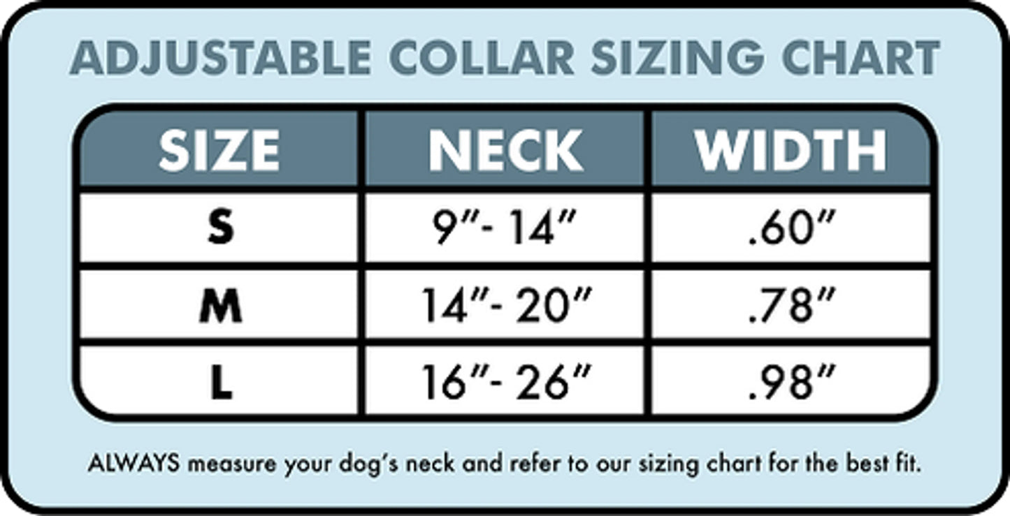 Urban Dog Stars Adjustable Dog Collar 22mm