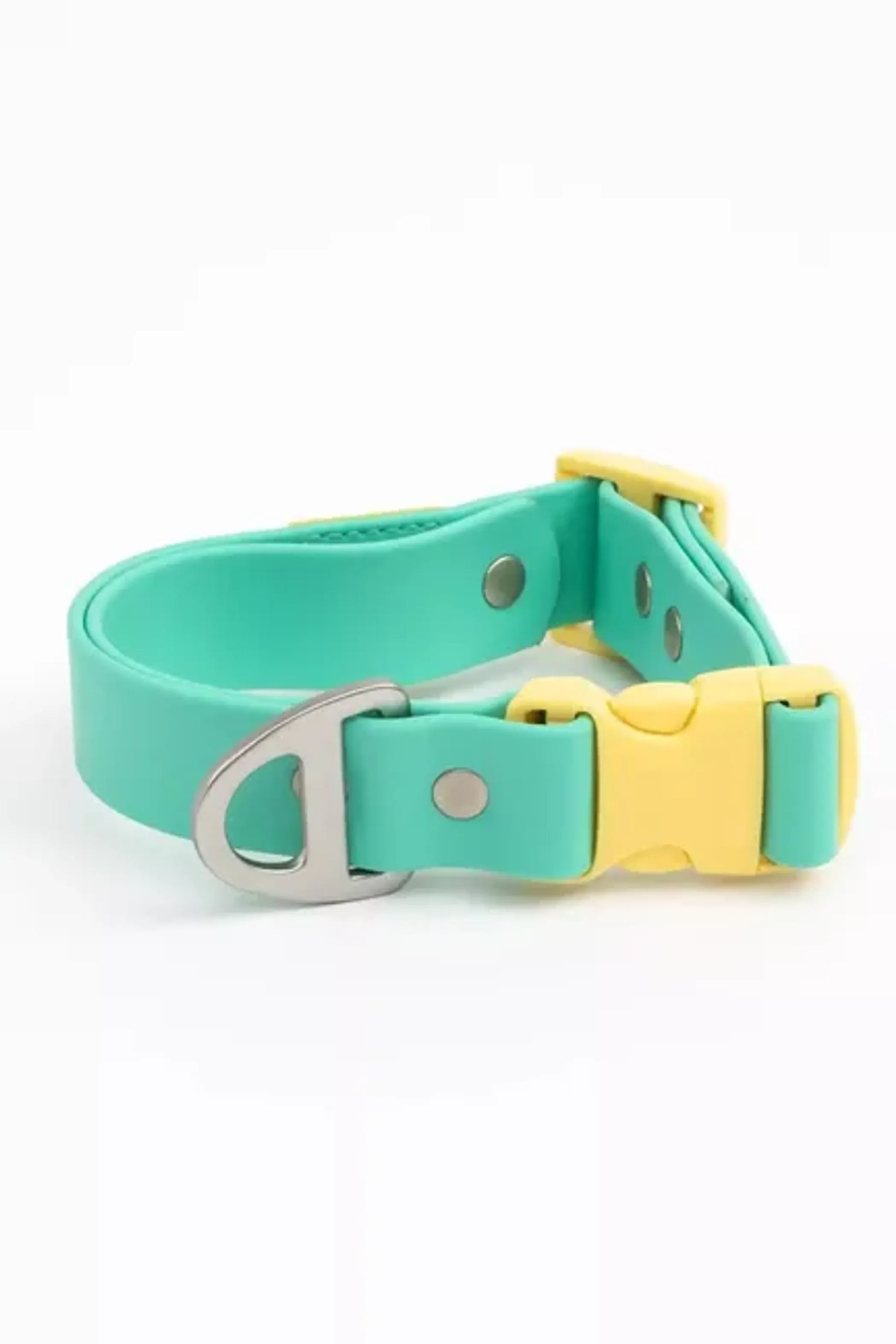 Island Vibes Waterproof Dog Collar - Your Pet Connection