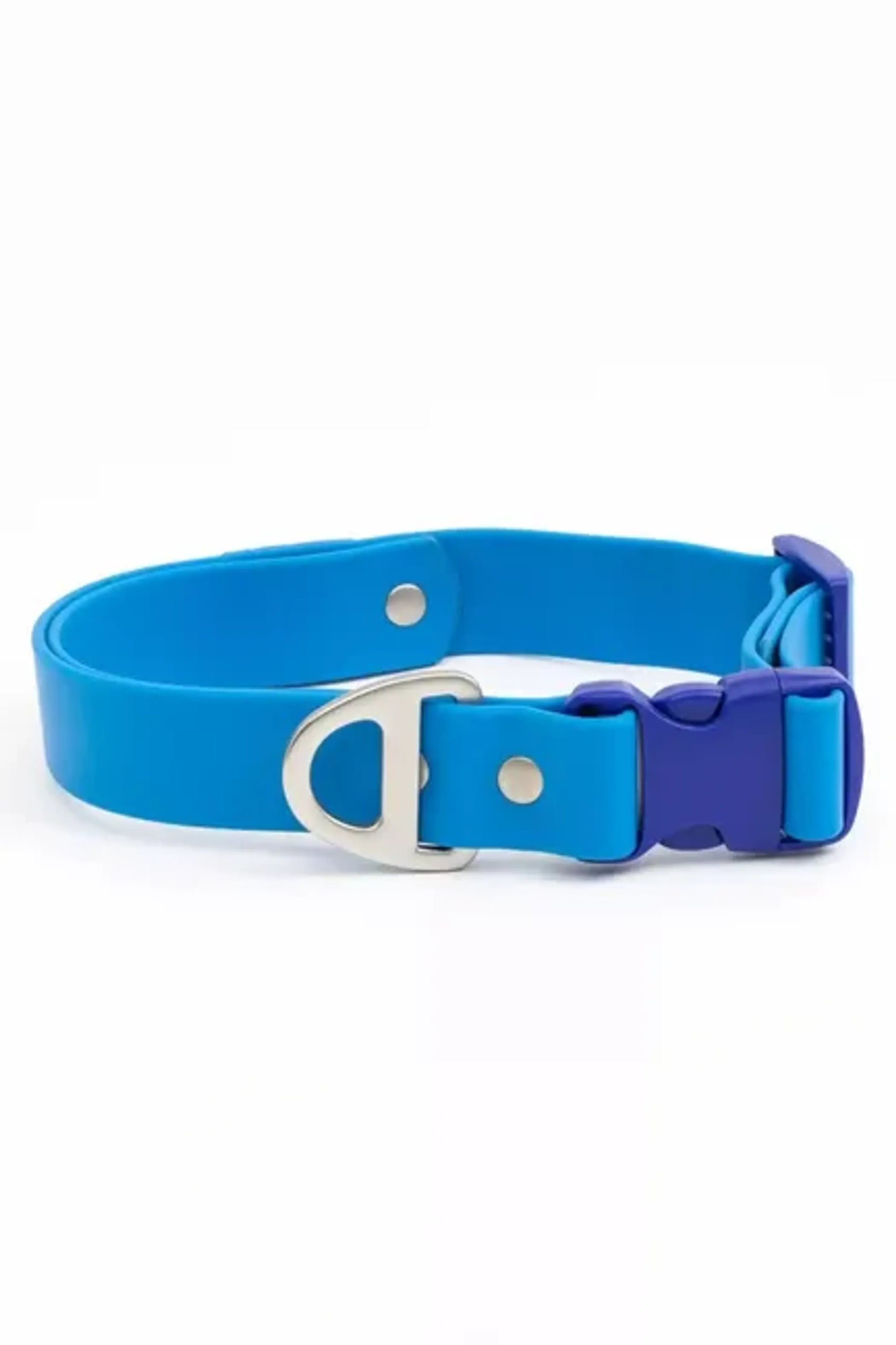 Dockside Adventures Waterproof Dog Collar - Your Pet Connection