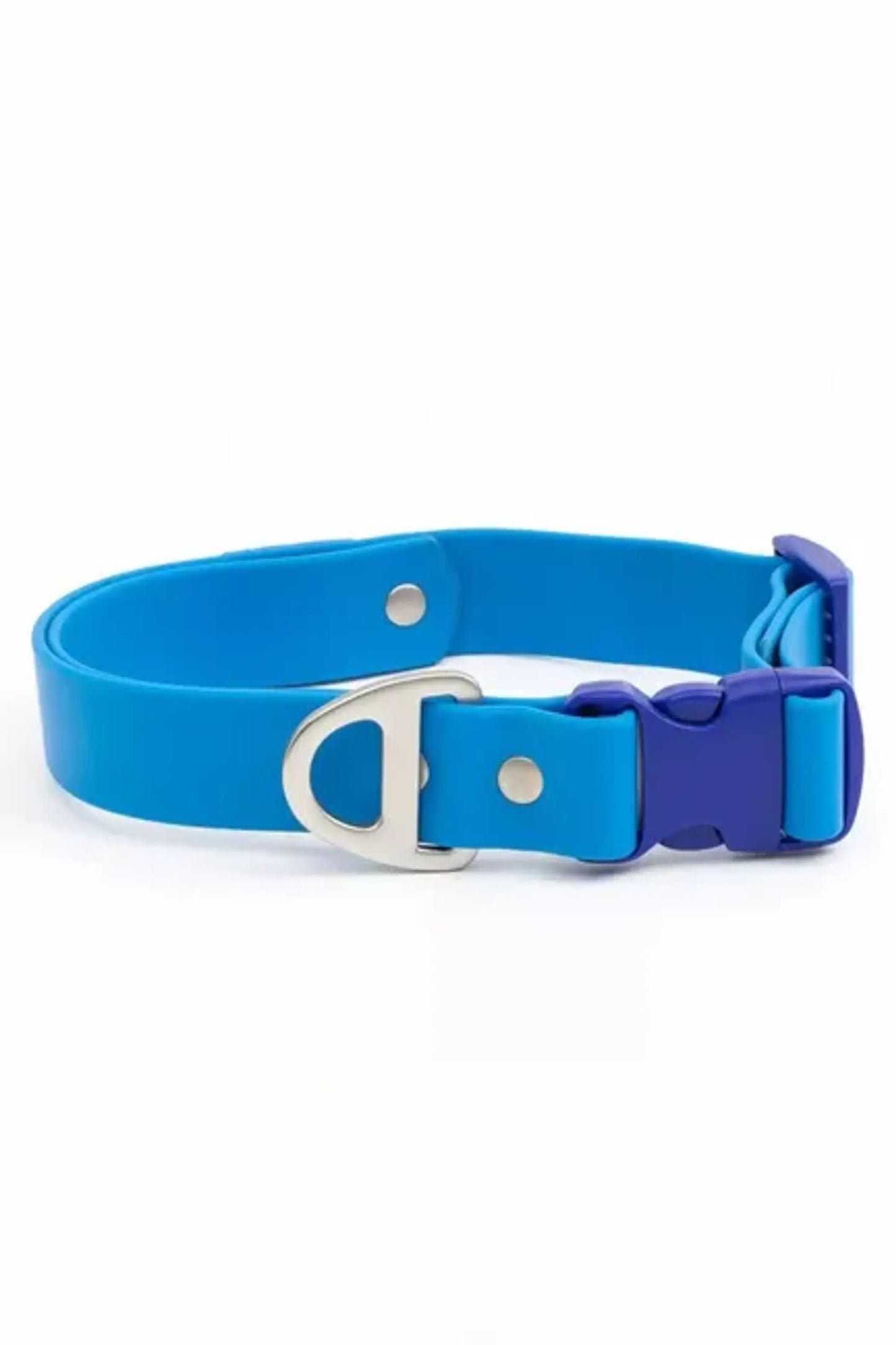 Aria the Fox Dockside Adventures Waterproof Dog Collar
