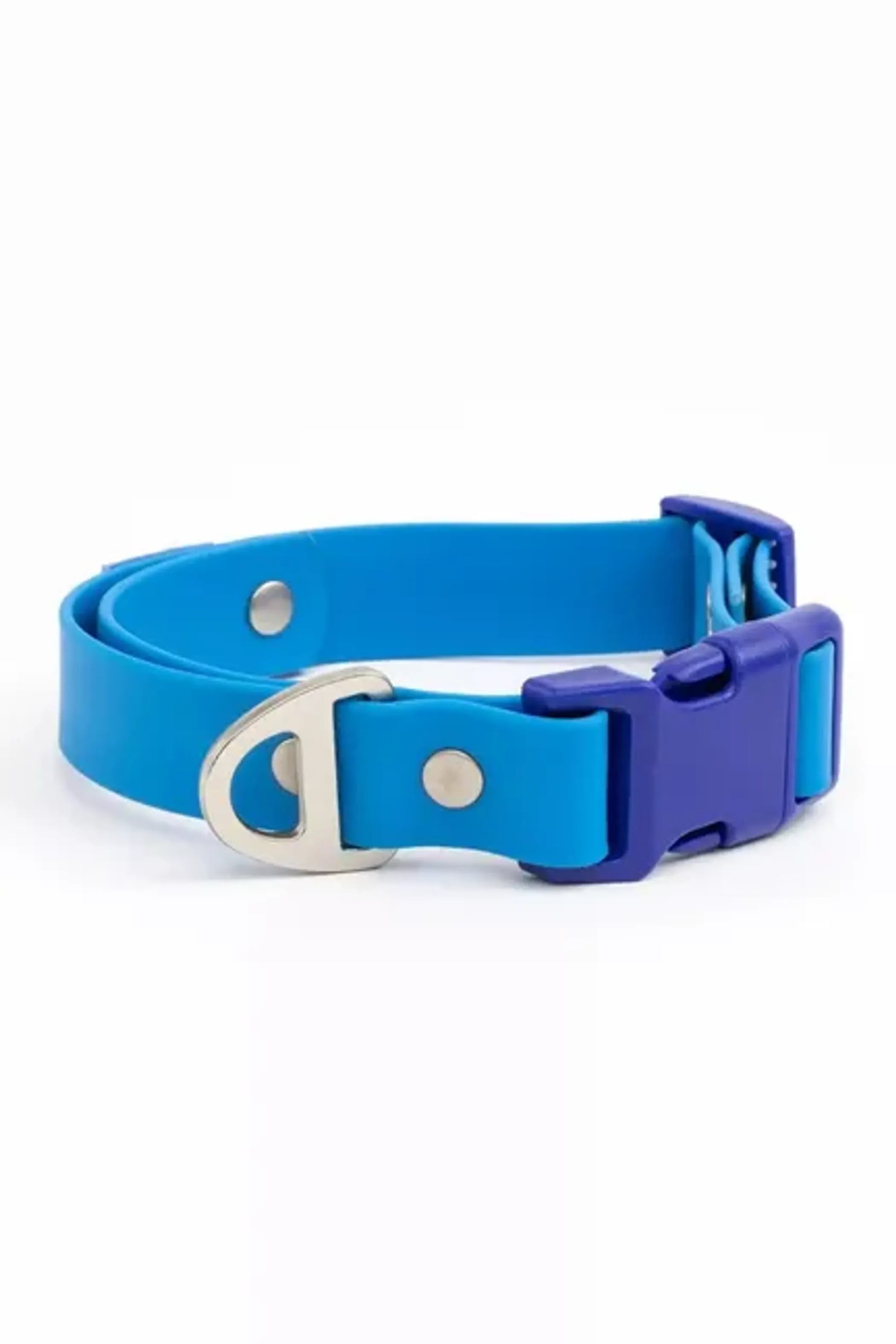 Dockside Adventures Waterproof Dog Collar - Your Pet Connection
