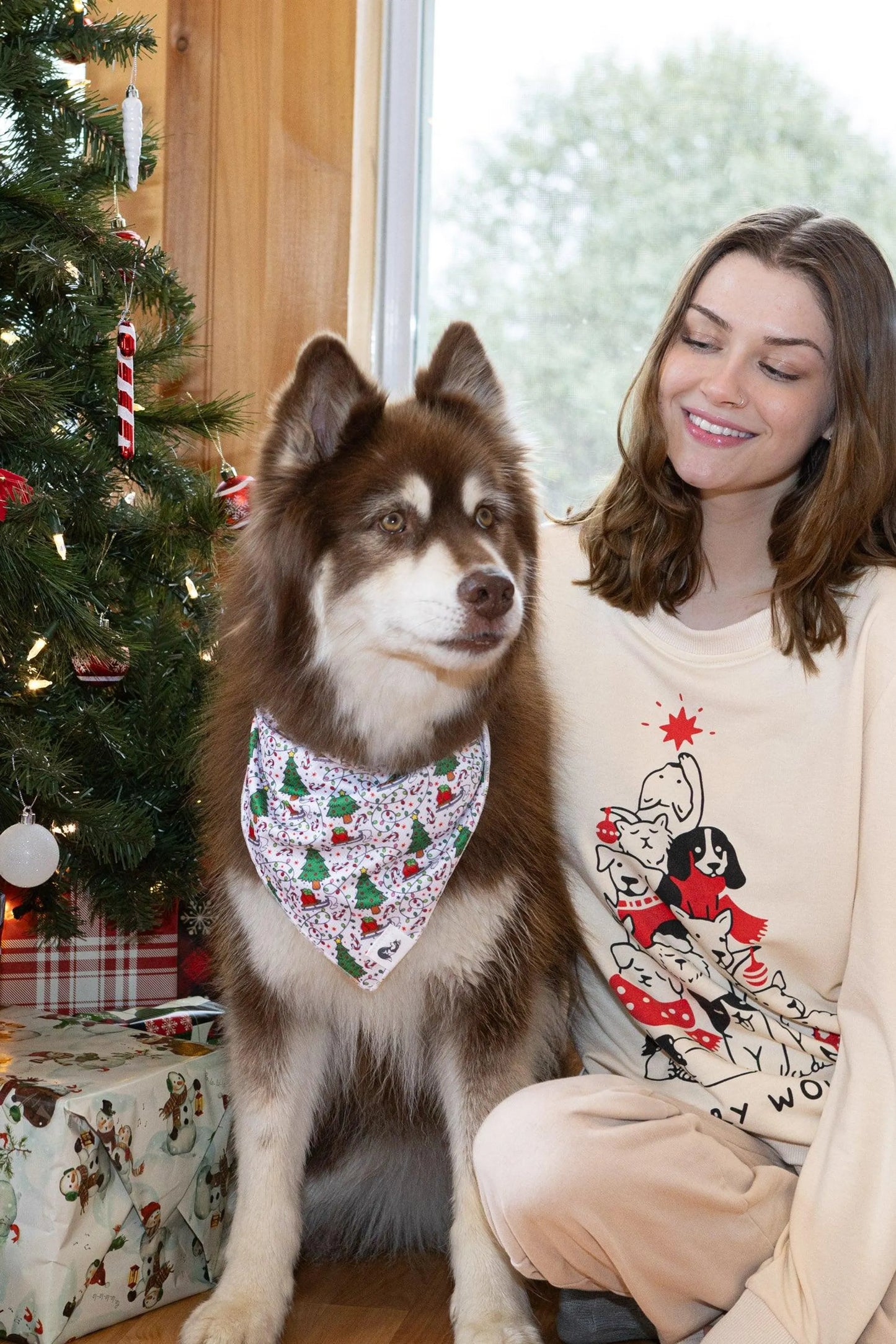 Aria the Fox Holiday Dog Bandana - Festive Design
