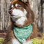 Pine Cone Pup Bandana - Your Pet Connection
