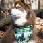 Evergreen Explorer Dog Bandana - Your Pet Connection