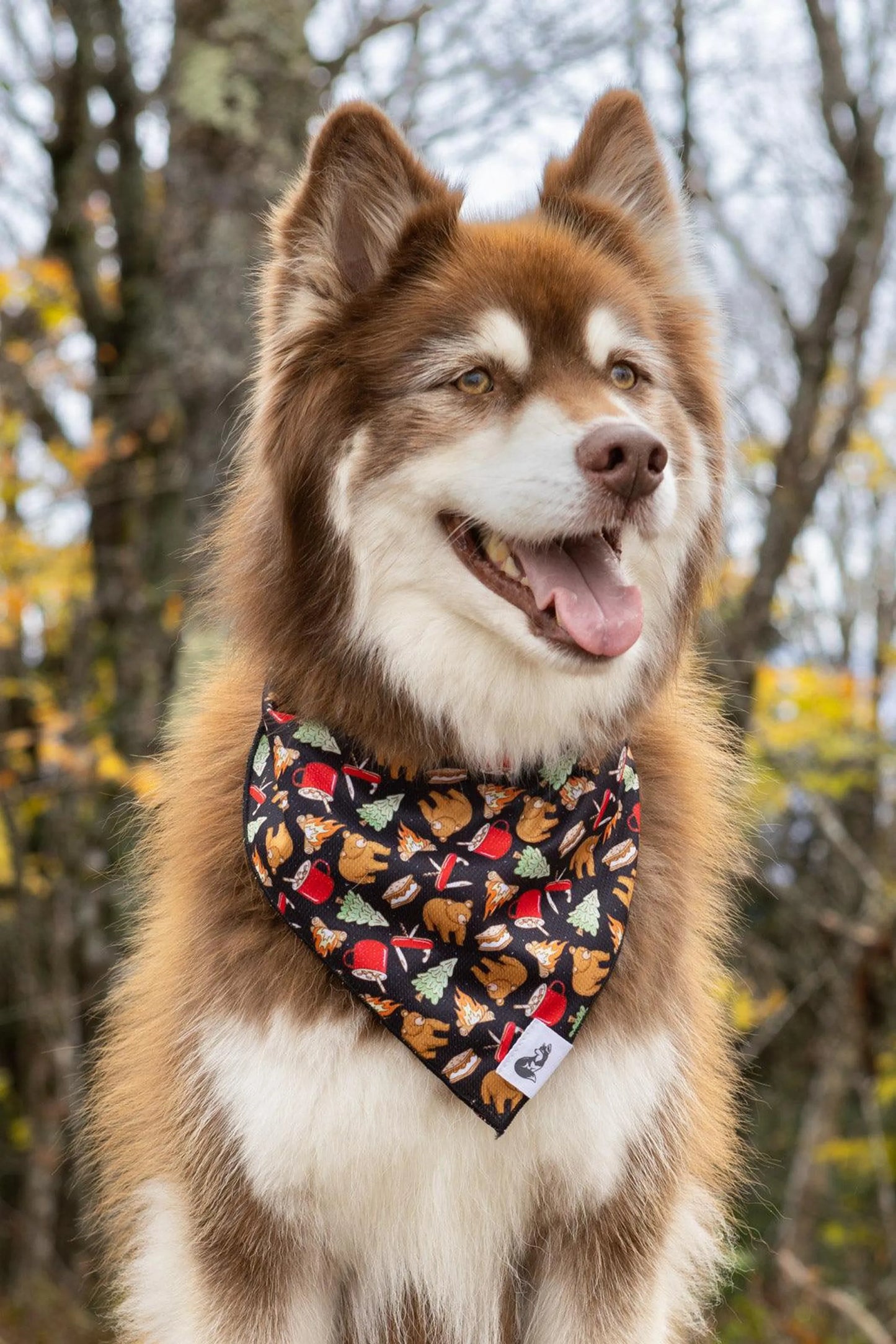 Woodland Tales Dog Bandana - Your Pet Connection