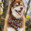 Woodland Tales Dog Bandana - Your Pet Connection