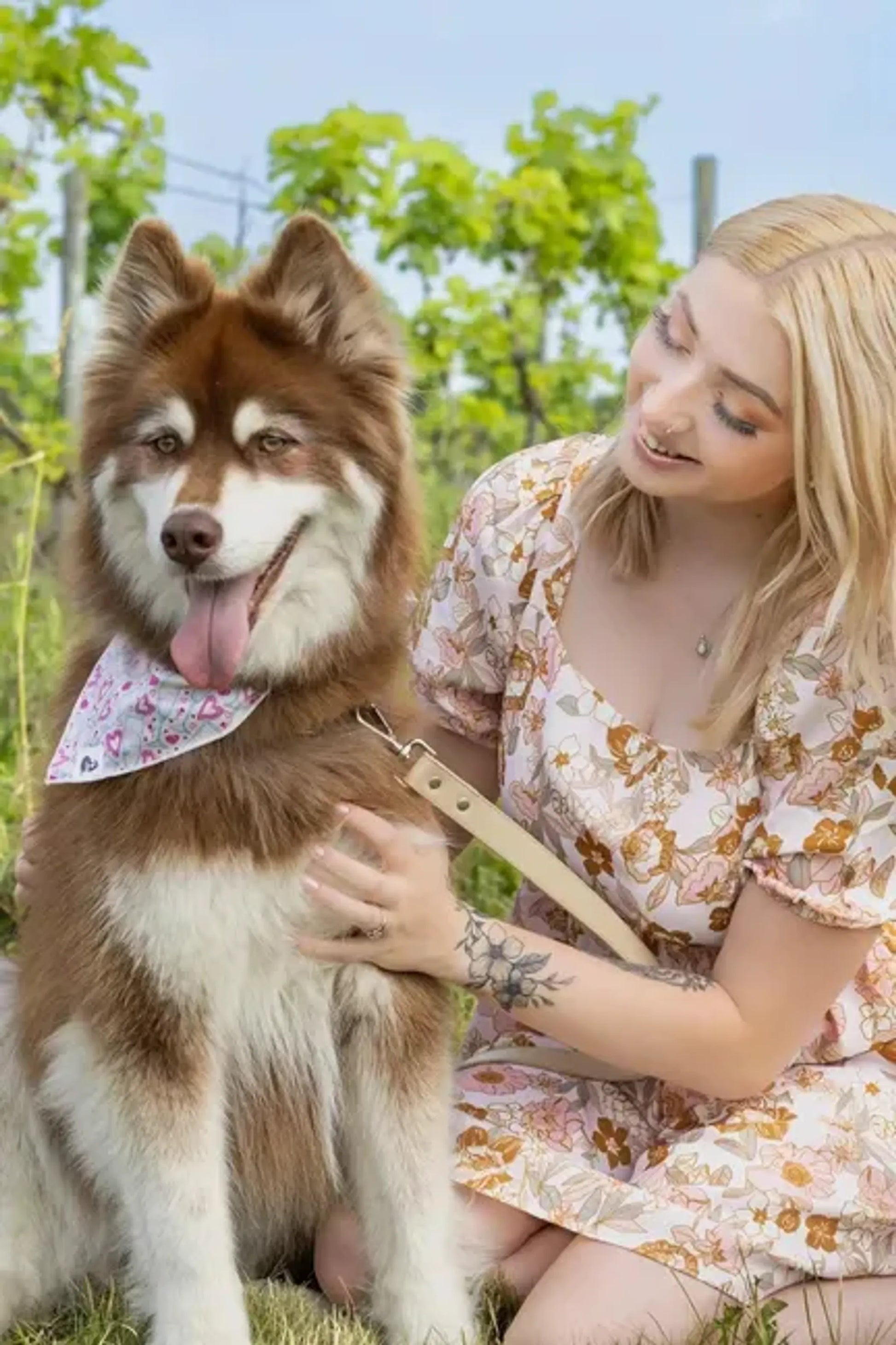 Cheers to Love Dog Bandana - Your Pet Connection