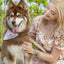 Cheers to Love Dog Bandana - Your Pet Connection