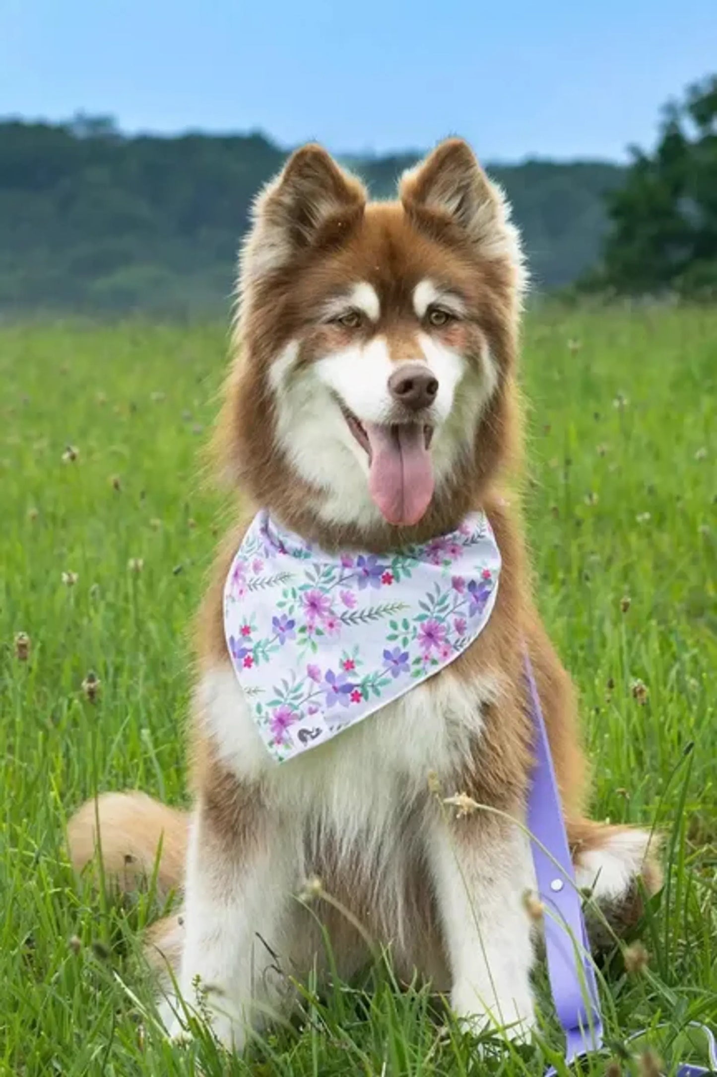 Aria the Fox Floral Dog Bandana Adjustable