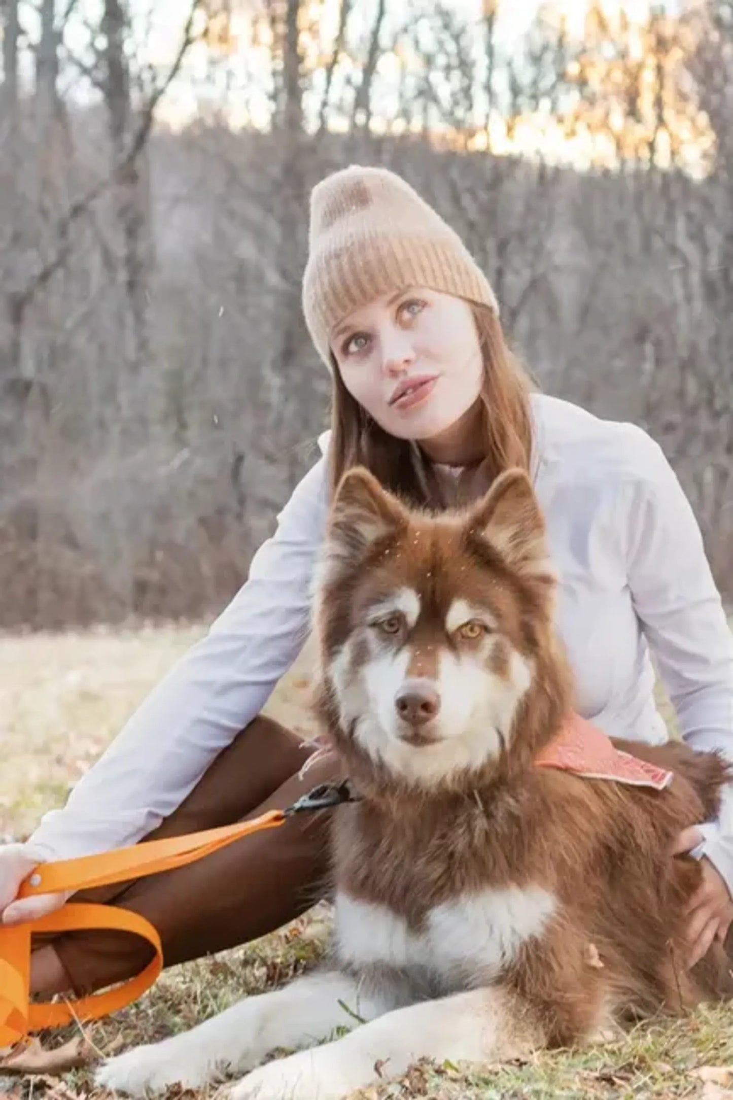Twilight Trails Dog Bandana - Your Pet Connection