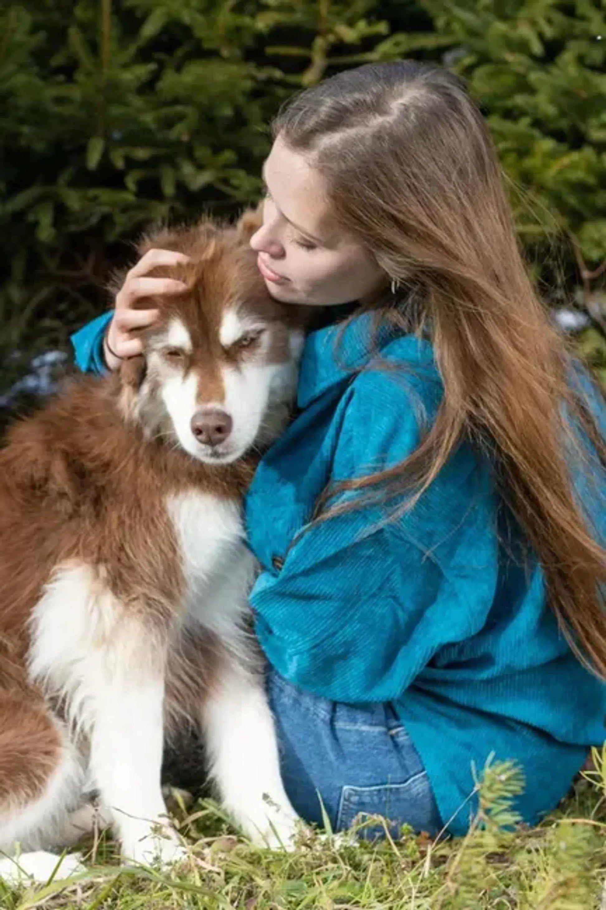 Blue Spruce Plaid Dog Bandana - Your Pet Connection