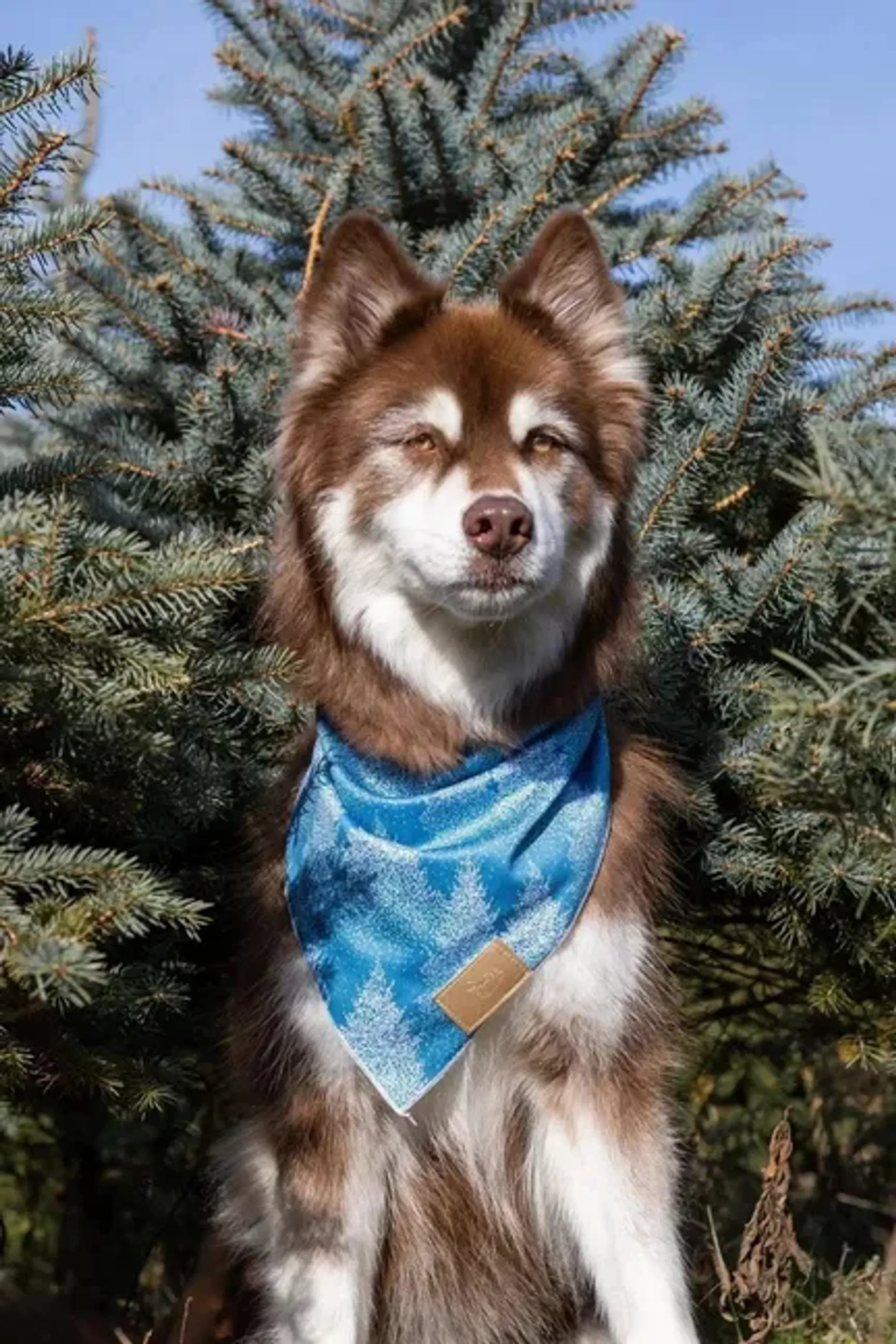 Siberian Spruce Dog Bandana - Your Pet Connection