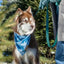 Siberian Spruce Dog Bandana - Your Pet Connection