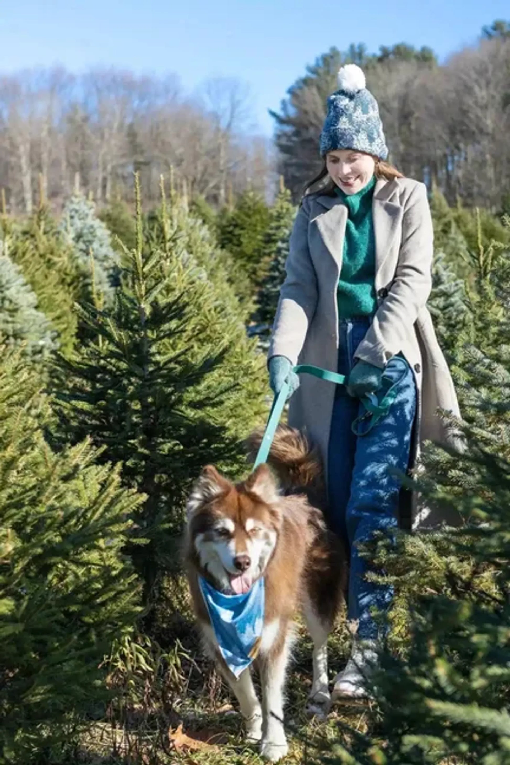 Siberian Spruce Dog Bandana - Your Pet Connection