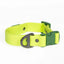 Aria the Fox Mossy Pine Waterproof Dog Collar