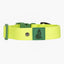 Aria the Fox Mossy Pine Waterproof Dog Collar