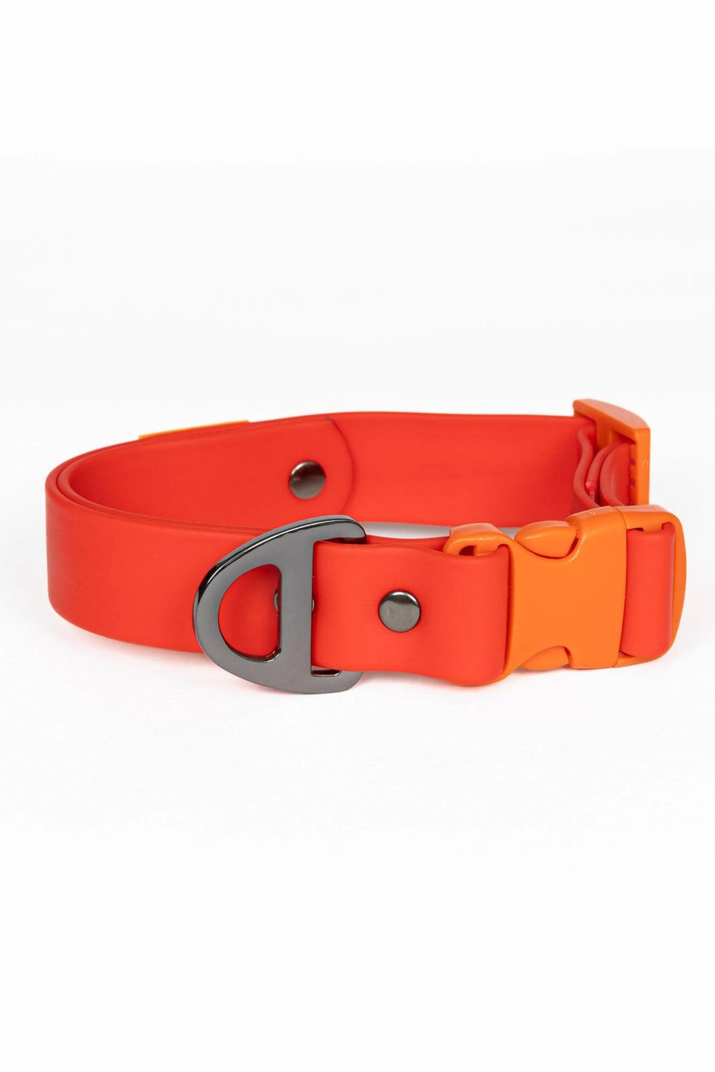 Aria the Fox Scarlet Waterproof Adventure Dog Collar