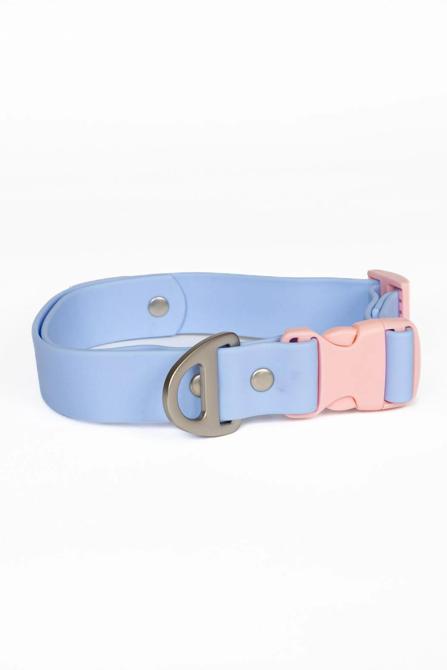 Aria the Fox Blue Sky Orchid Dog Collar