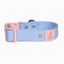 Aria the Fox Blue Sky Orchid Dog Collar