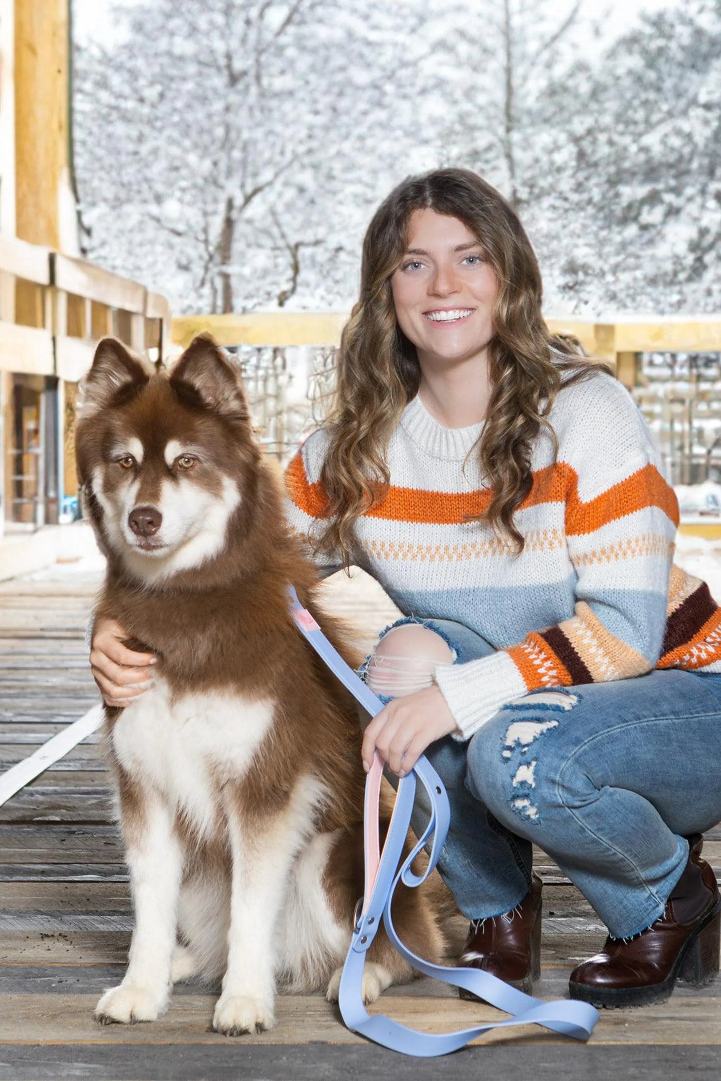 Aria the Fox Blue Sky Orchid Dog Collar