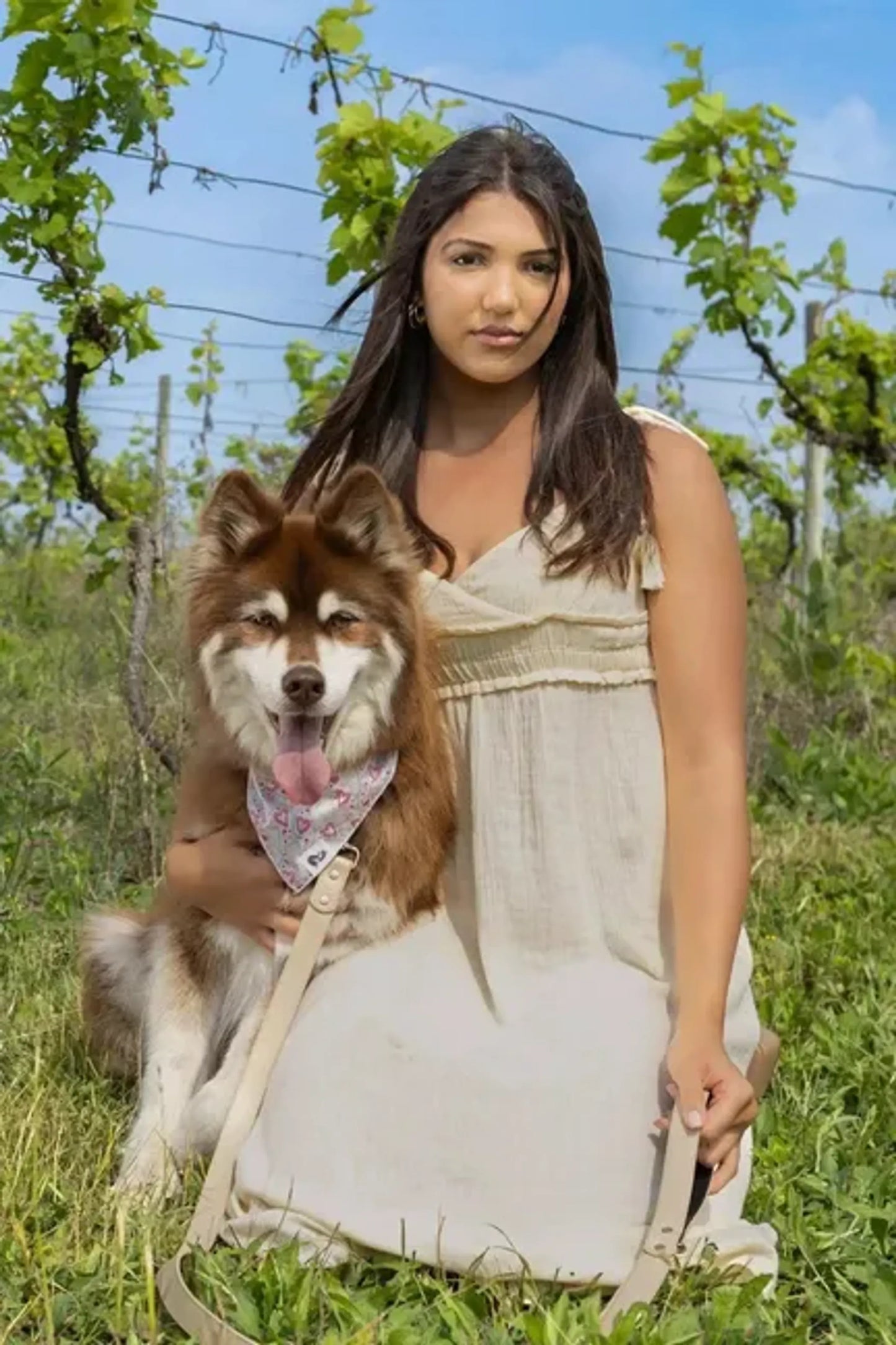 Aria the Fox Elegant Vegan Leather Dog Collar