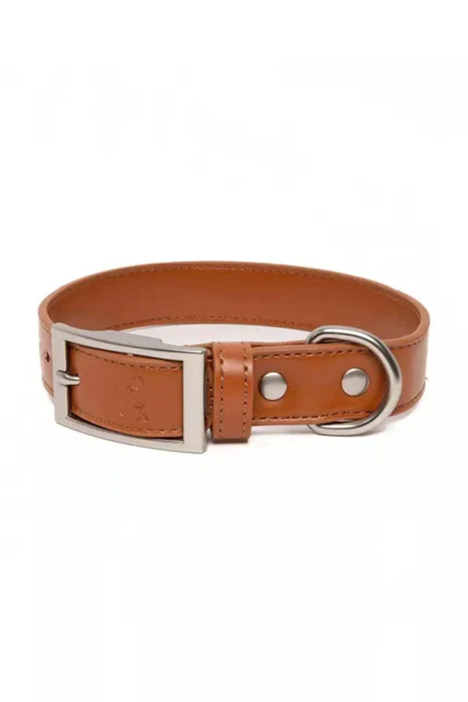 Sierra Sunrise Vegan Leather Dog Collar - Your Pet Connection