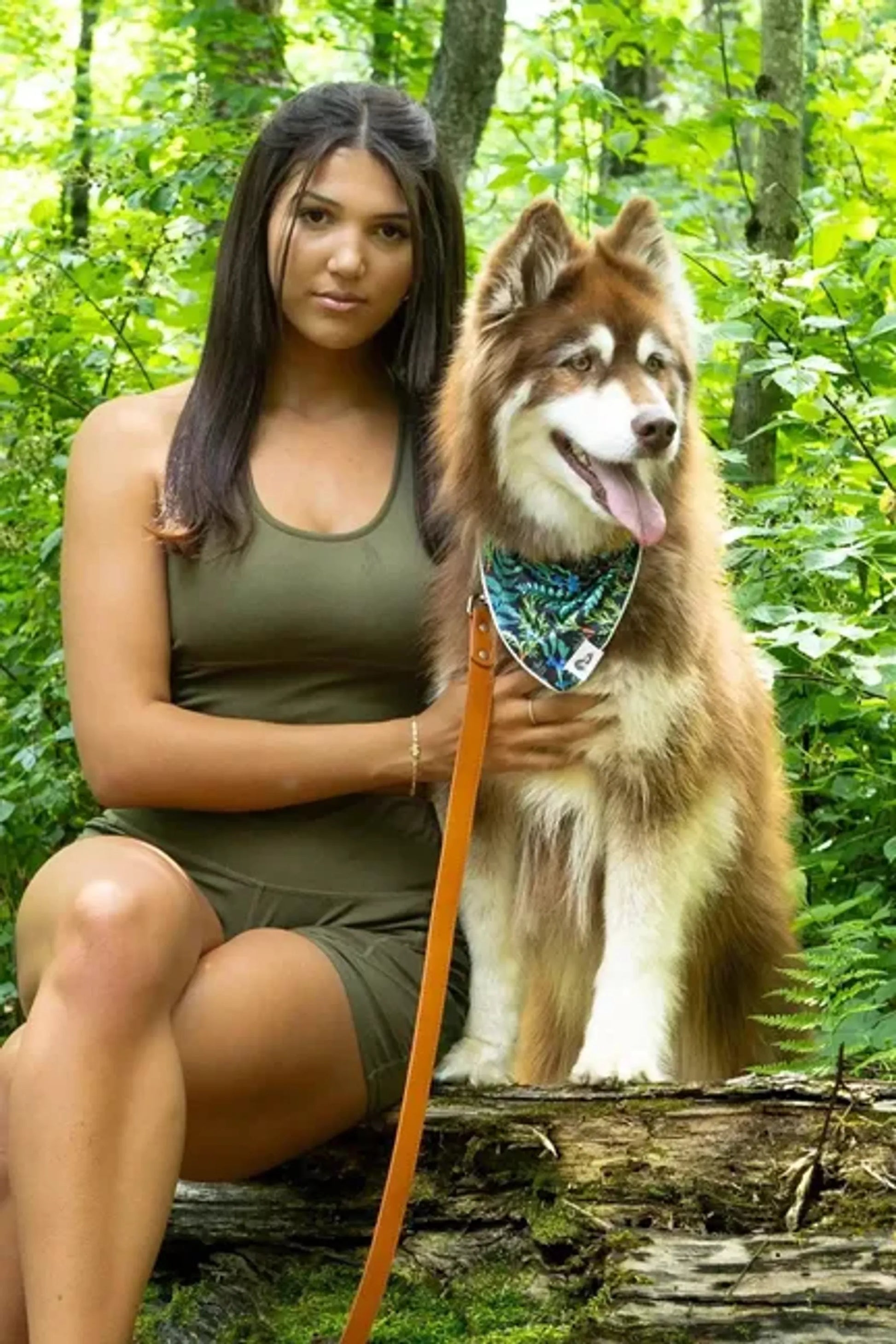 Sierra Sunrise Vegan Leather Dog Collar - Your Pet Connection