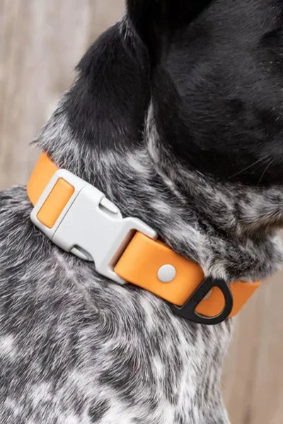 Crimson Glow Waterproof Dog Collar - Your Pet Connection