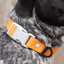 Crimson Glow Waterproof Dog Collar - Your Pet Connection