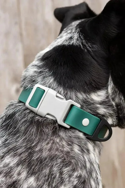 Siberian Spruce Waterproof Dog Collar - Your Pet Connection
