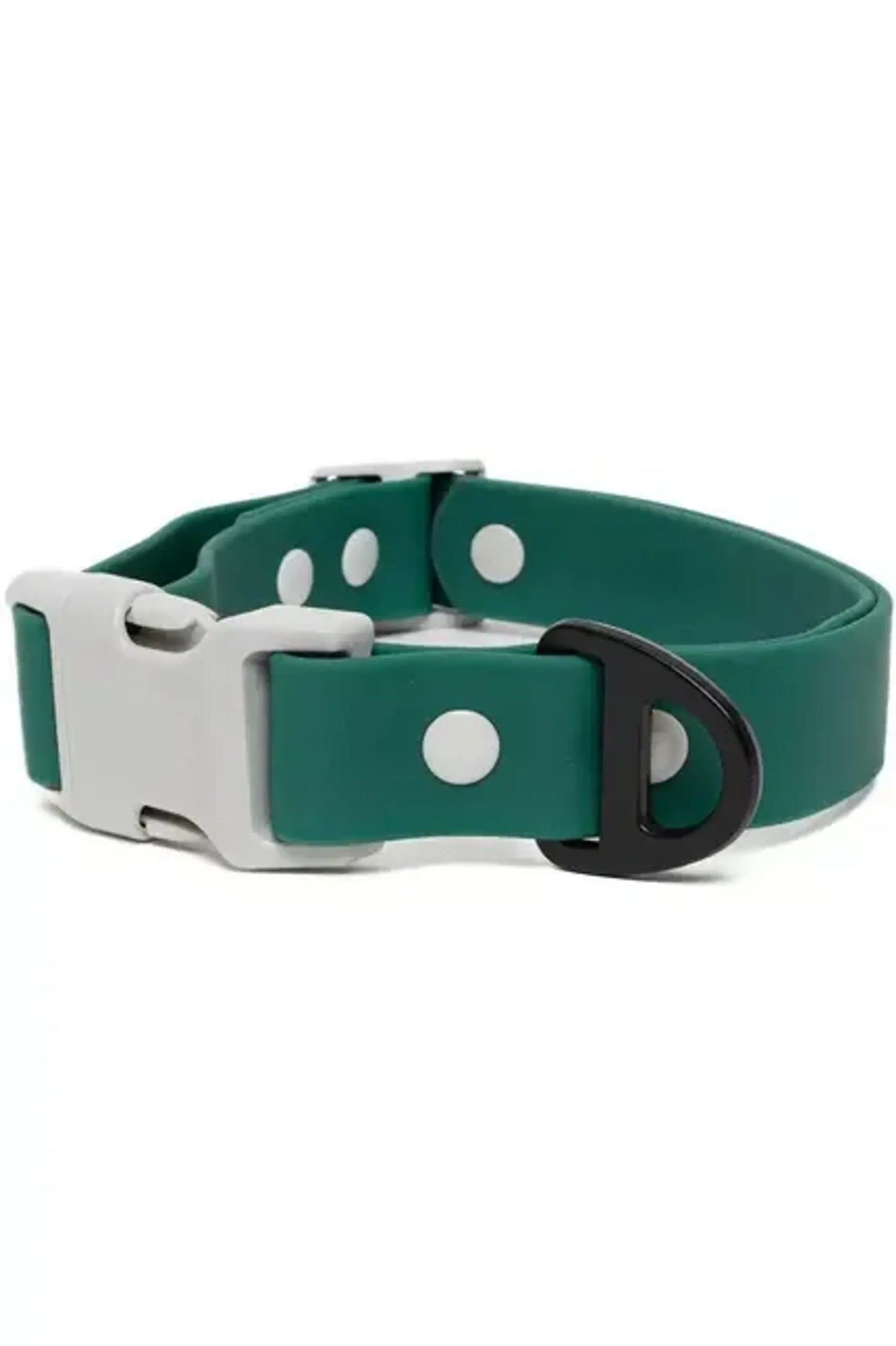 Aria the Fox Adventurer Dog Collar Medium