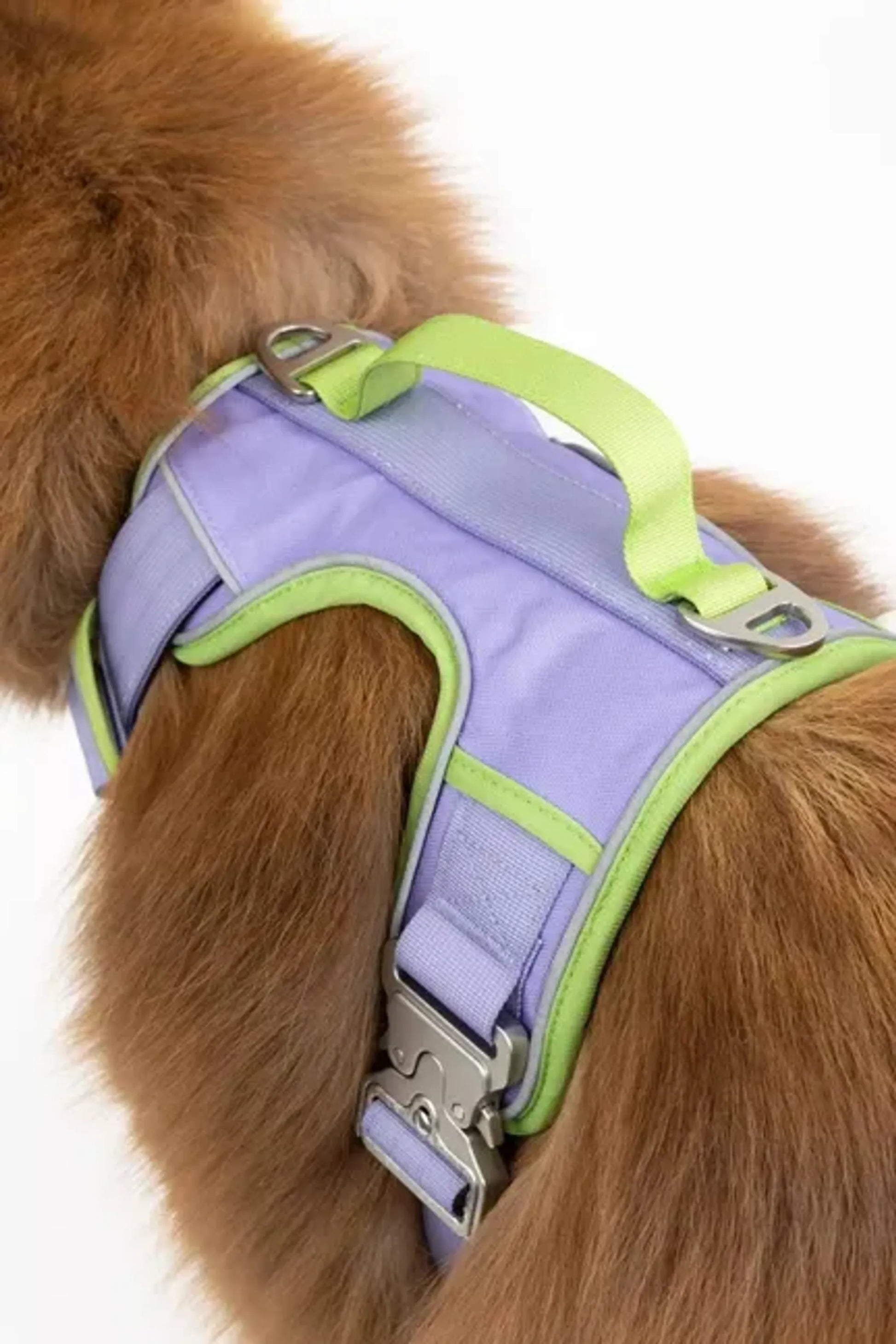 Lavender Garden Ultimate Dog Harness - Your Pet Connection