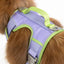 Lavender Garden Ultimate Dog Harness - Your Pet Connection