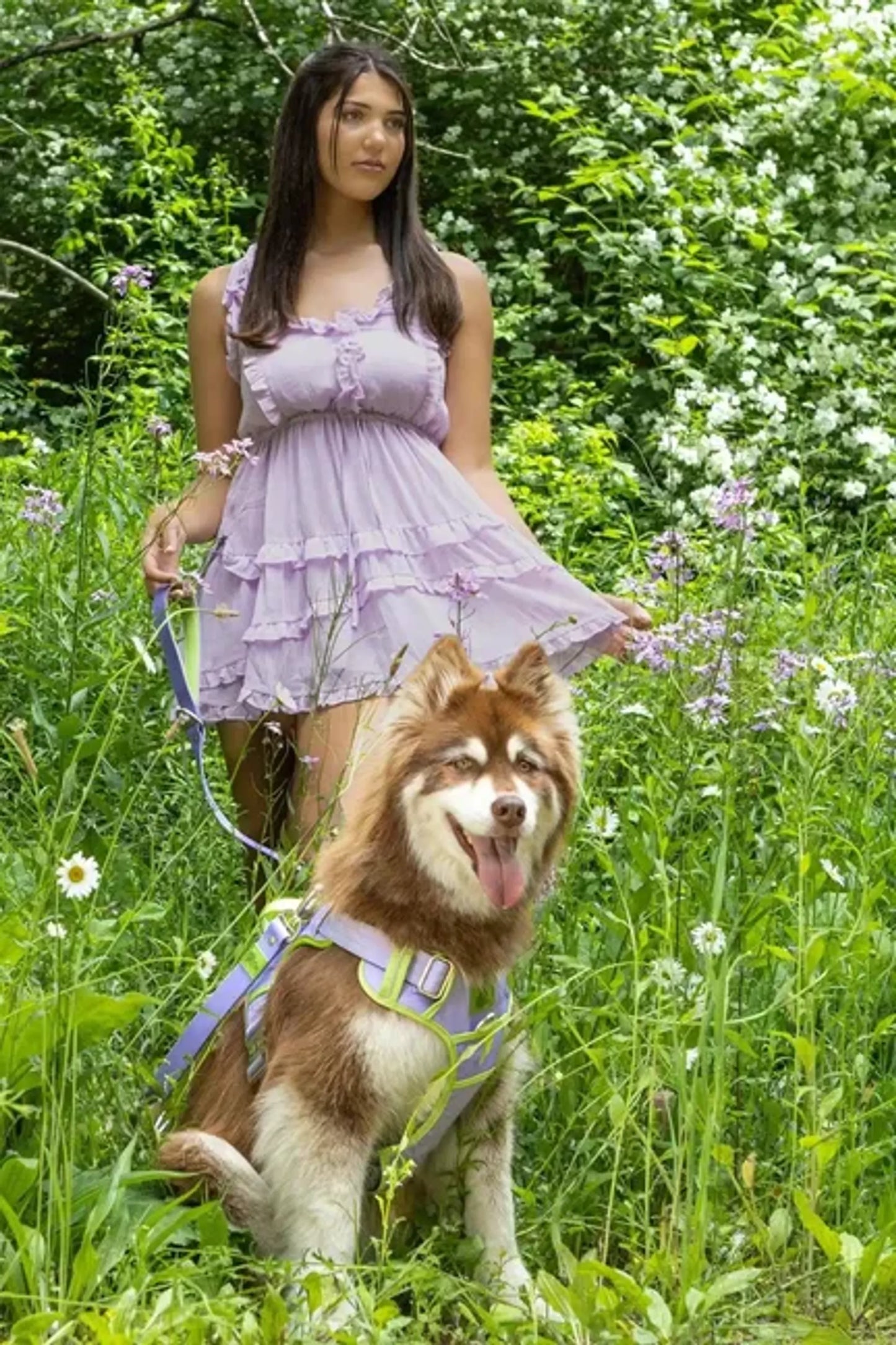 Aria the Fox Lavender Garden Dog Harness