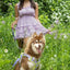 Lavender Garden Ultimate Dog Harness - Your Pet Connection