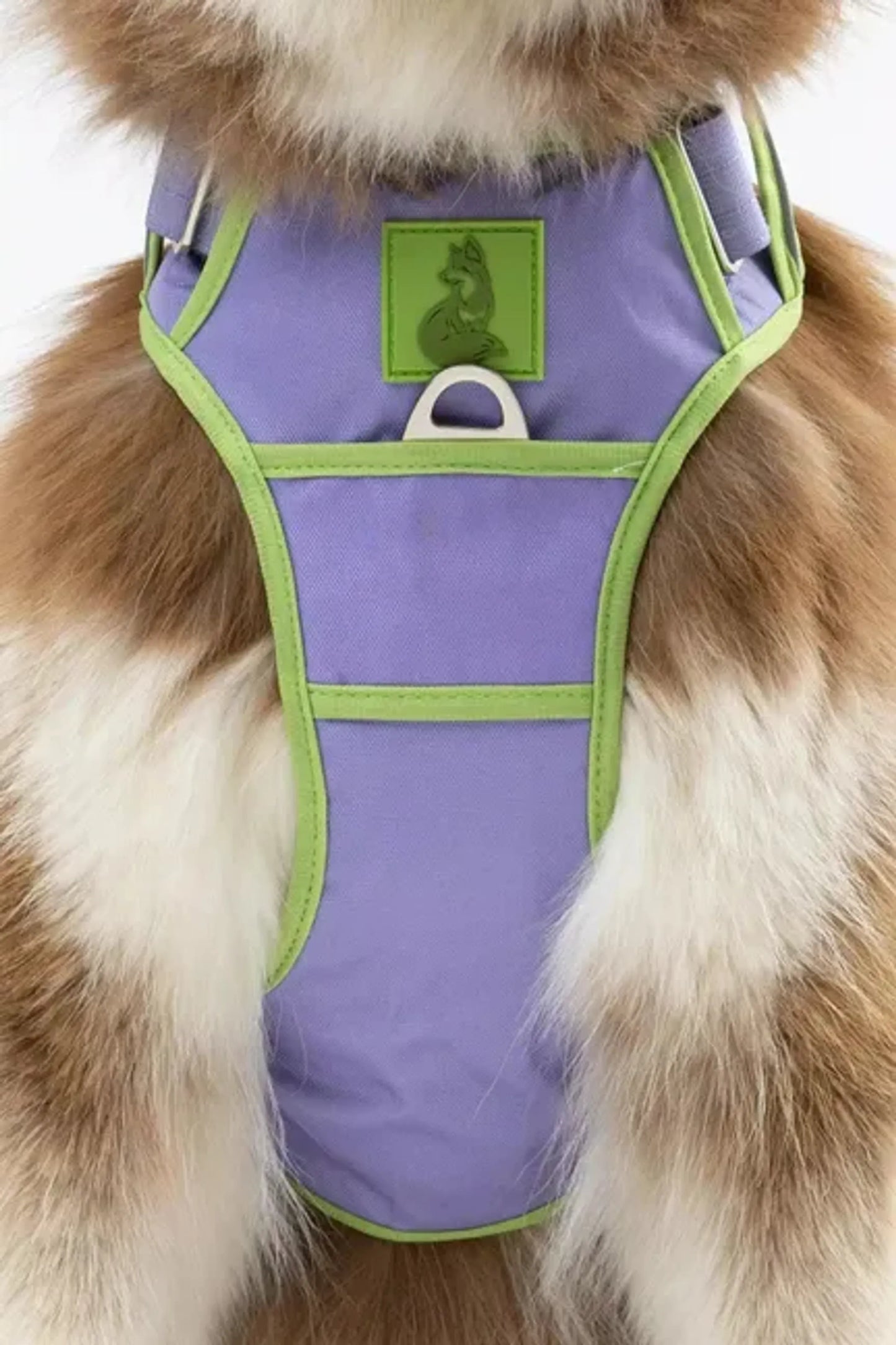 Aria the Fox Lavender Garden Dog Harness