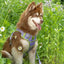 Lavender Garden Ultimate Dog Harness - Your Pet Connection