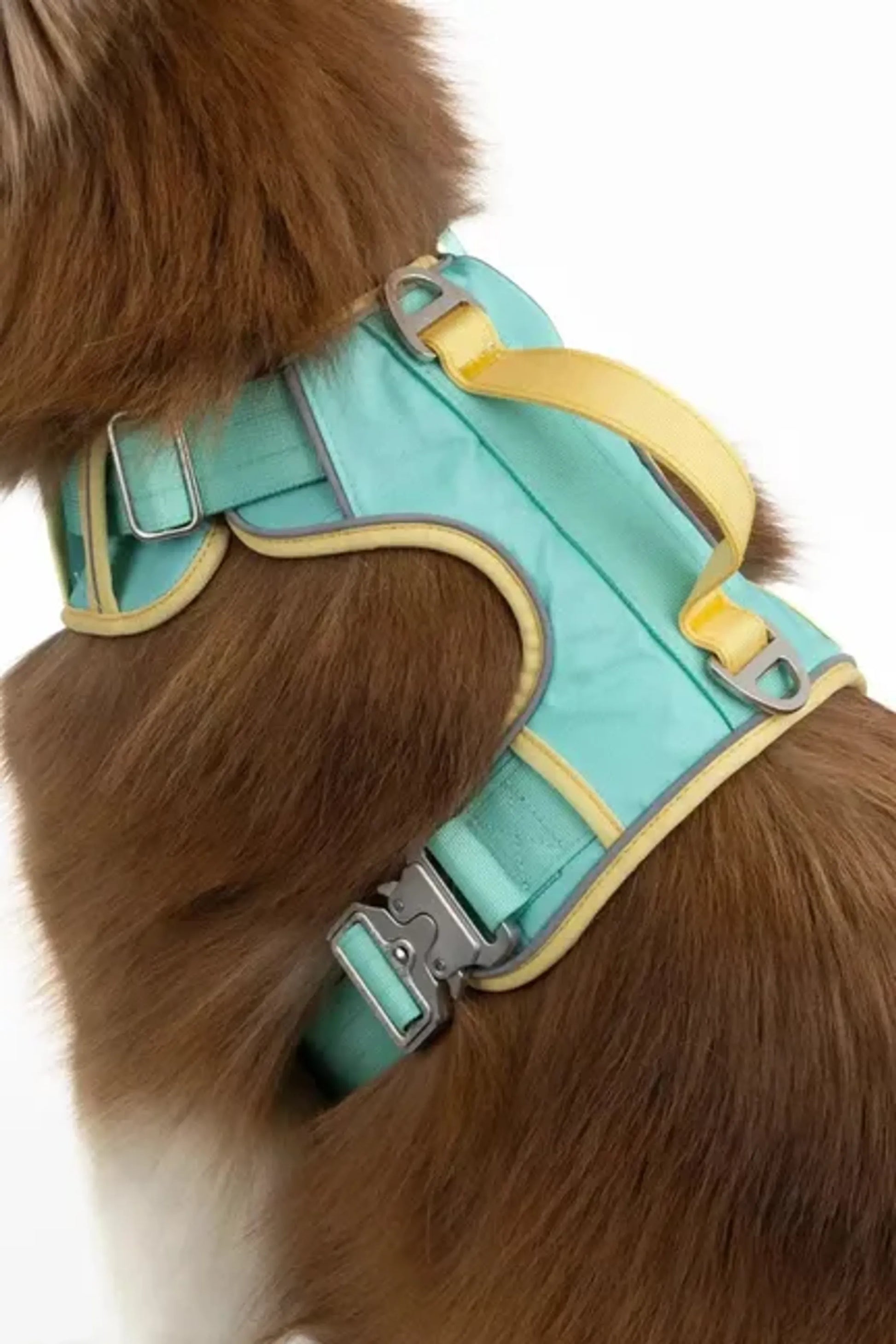 Island Vibes Ultimate Dog Harness - Your Pet Connection