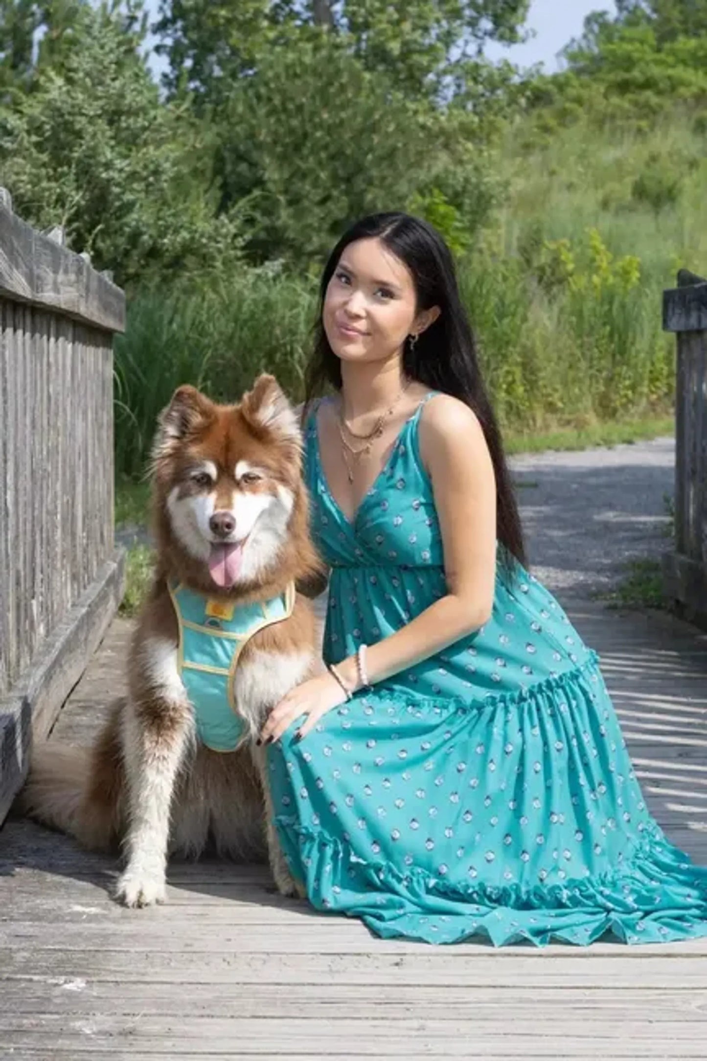 Island Vibes Ultimate Dog Harness - Your Pet Connection