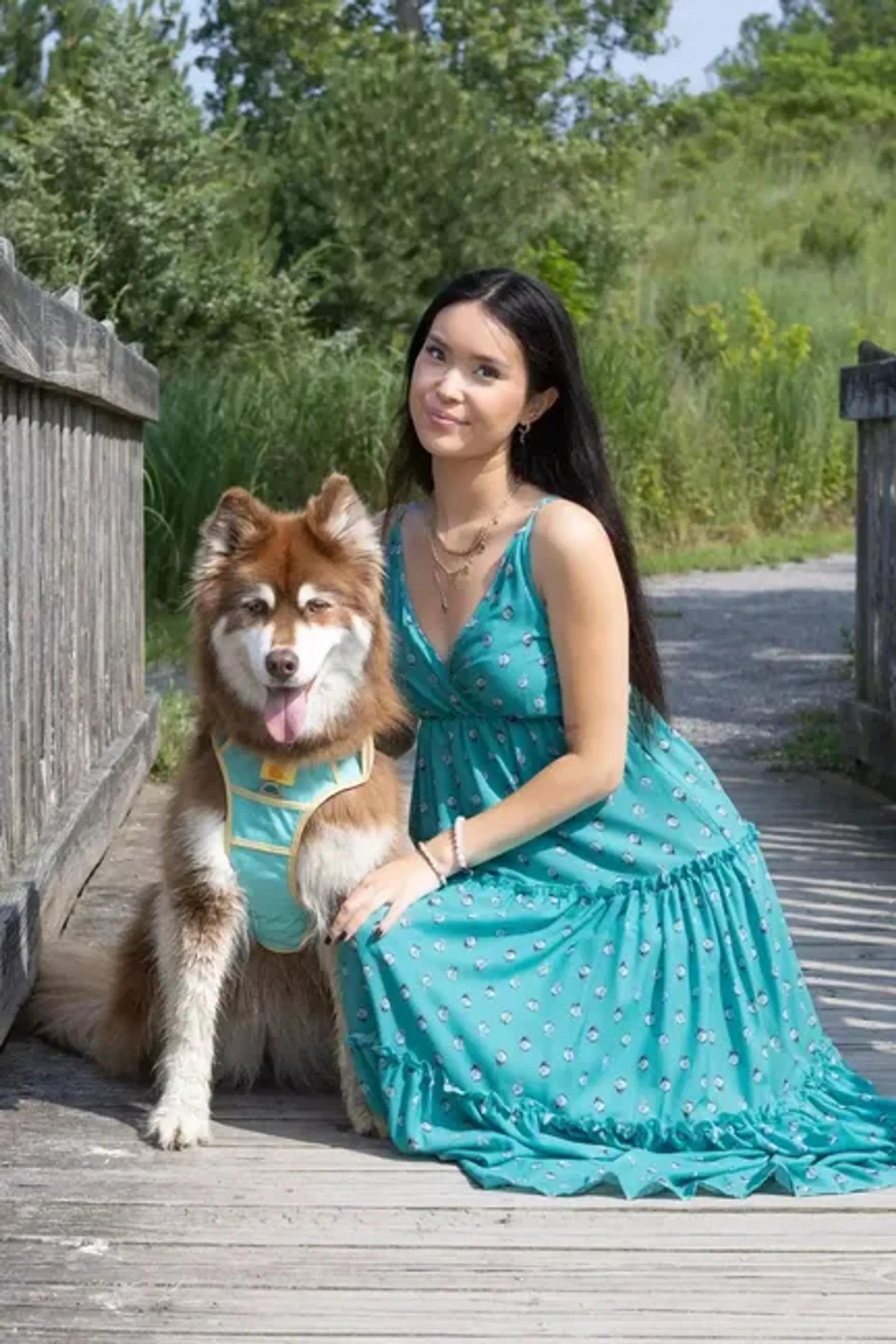 Island Vibes Ultimate Dog Harness - Your Pet Connection