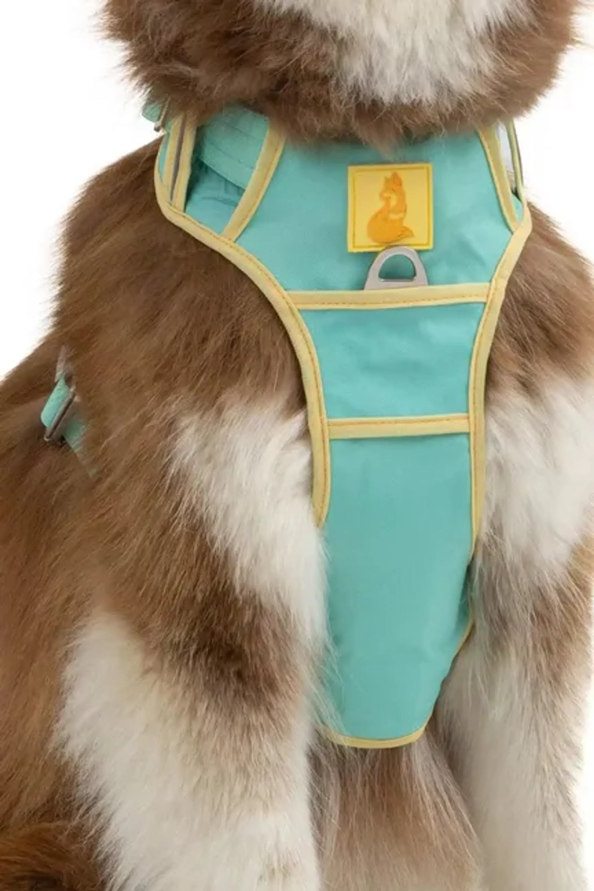 Island Vibes Ultimate Dog Harness - Your Pet Connection