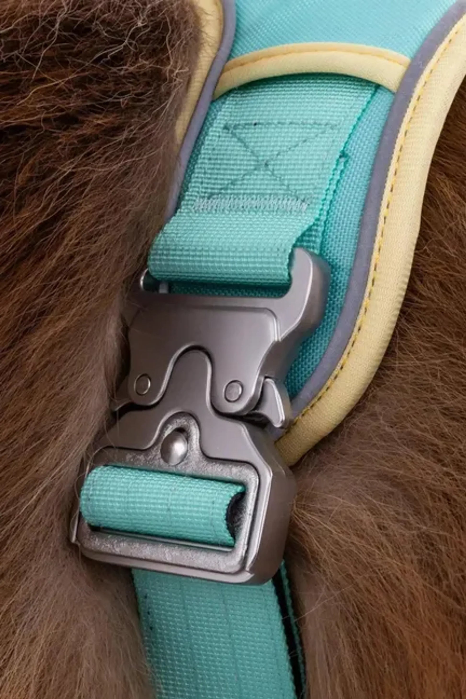 Island Vibes Ultimate Dog Harness - Your Pet Connection